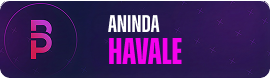 Aninda_Havale